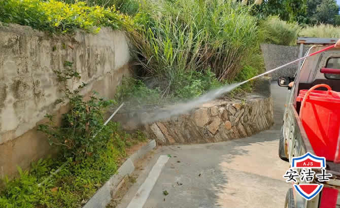 江山道路堤坝白蚁防治