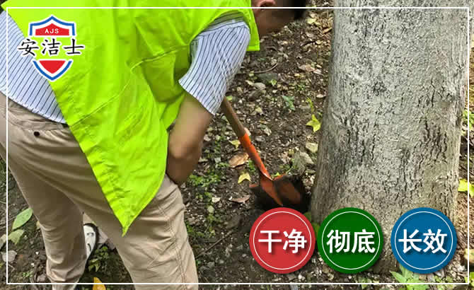 江山长效除白蚁