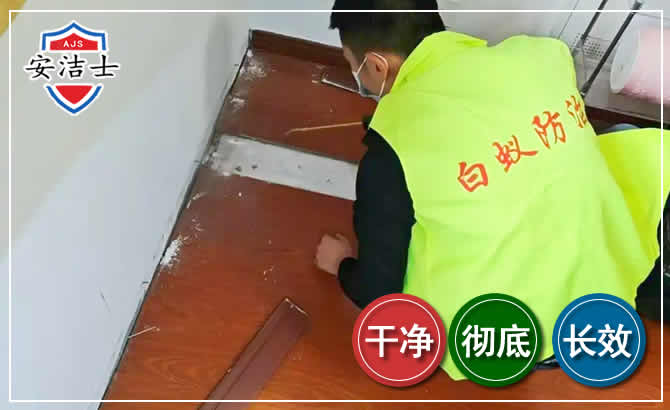 江山除四害现场