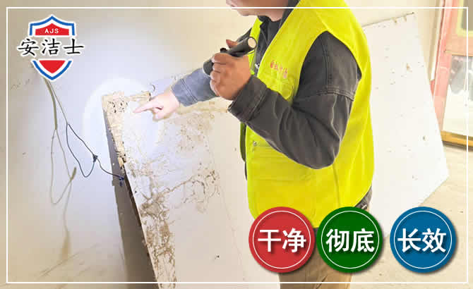 江山除白蚁现场