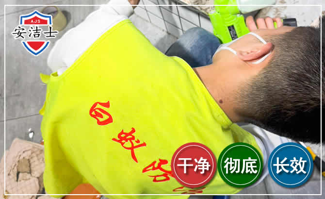 江山白蚁根治现场